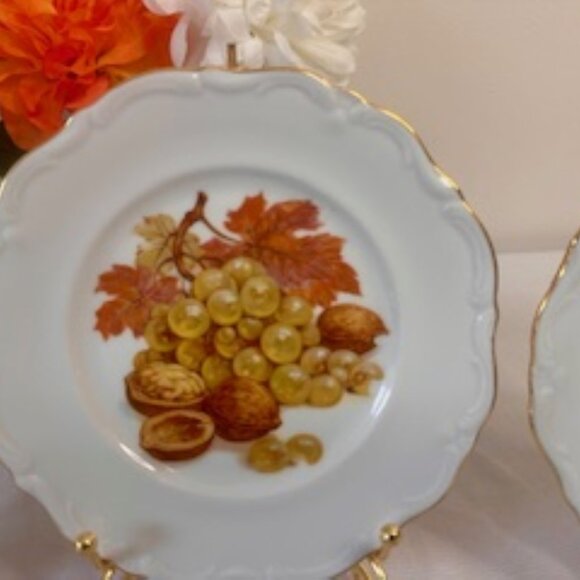 Vintage Winterling Roslau Bavaria Germany Fruit Motif Plate Set – Gold Trimmed - Picture 6 of 8